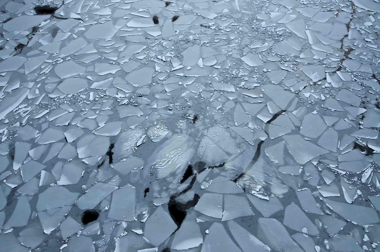 專業(yè)防水補(bǔ)漏服務(wù)：漏水維修的高效解決方案