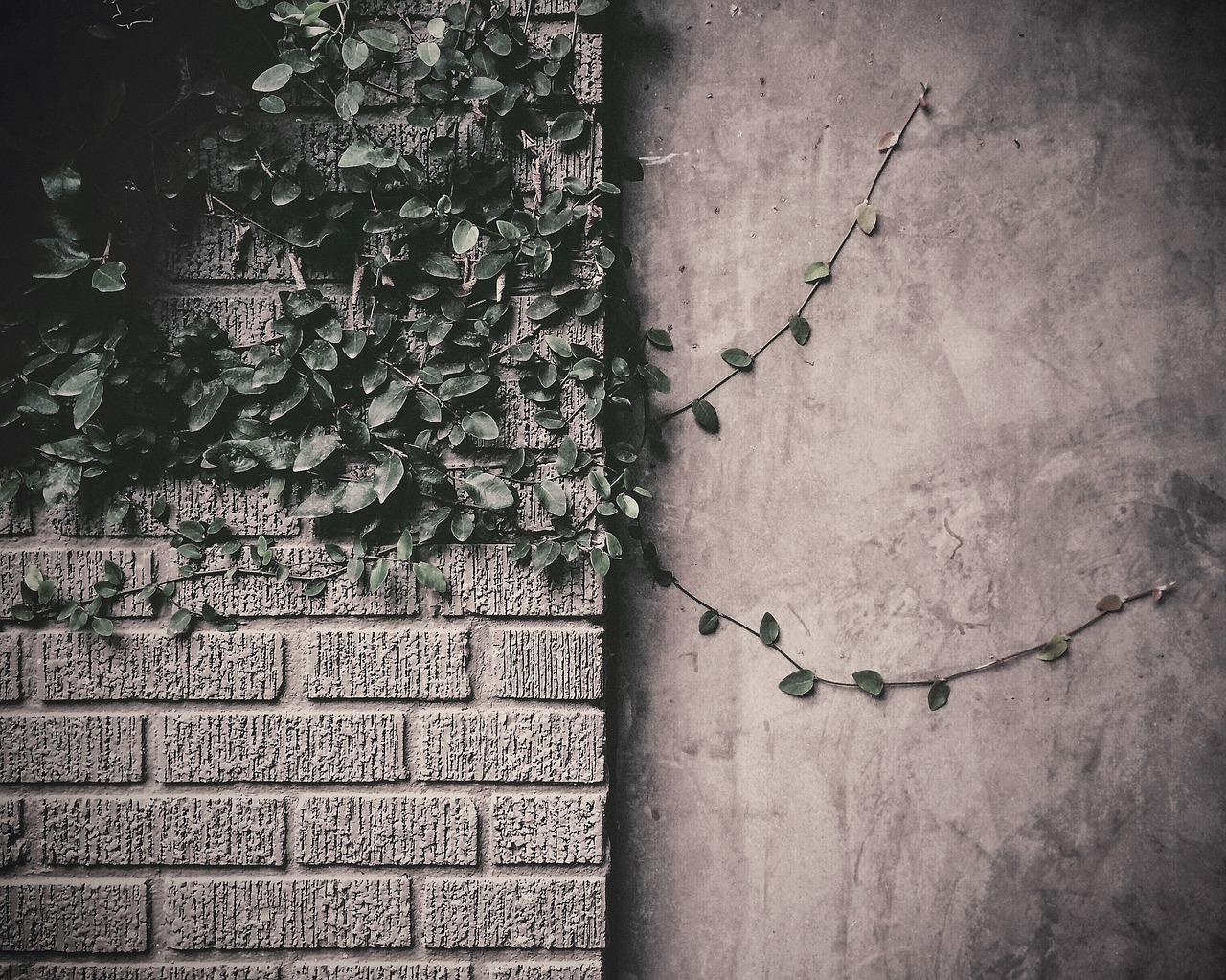 一般漏水補(bǔ)漏要多少錢，一般漏水補(bǔ)漏要多少錢一次