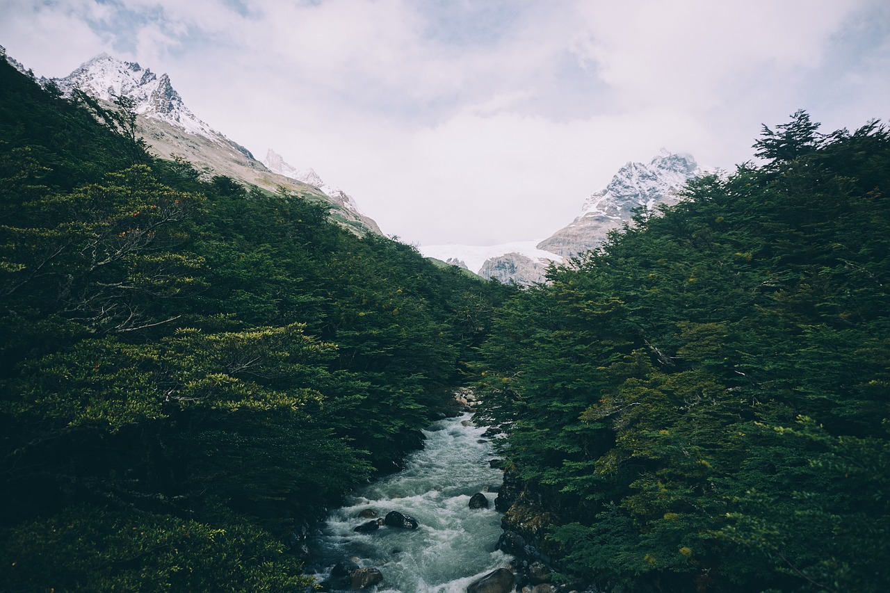 水庫除險加固的意義，水庫除險加固的意義是什么