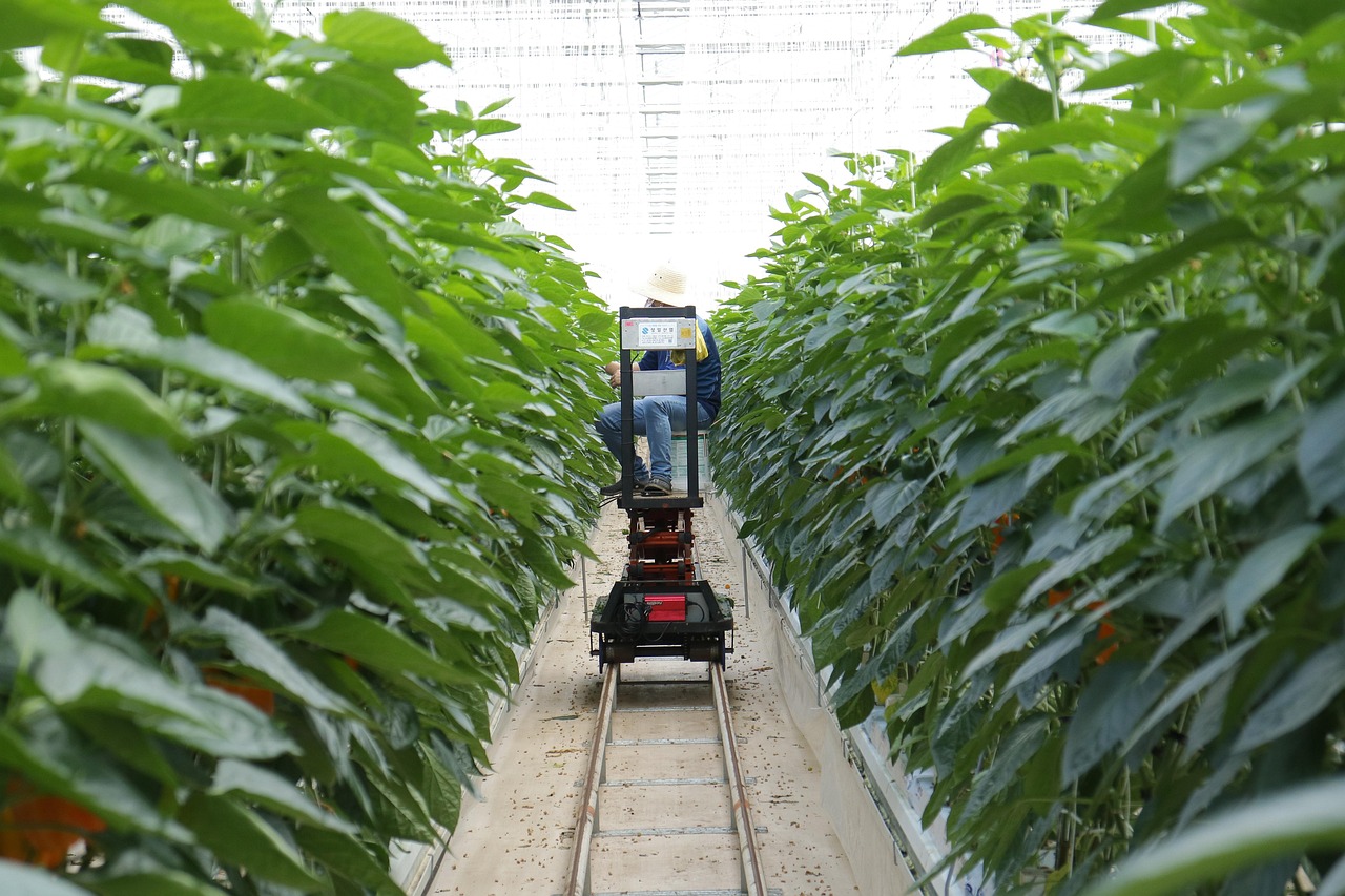 樓頂樓面保溫防水哪種效果最好，樓頂樓面保溫防水哪種效果最好呢